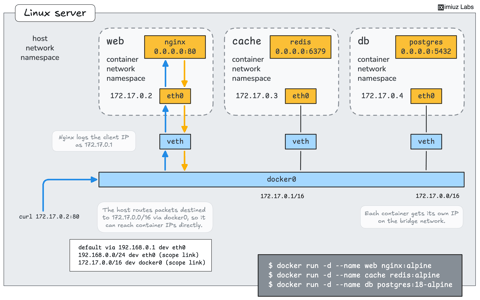 Docker 101: Reach a Container Without Publishing a Port (cover image)