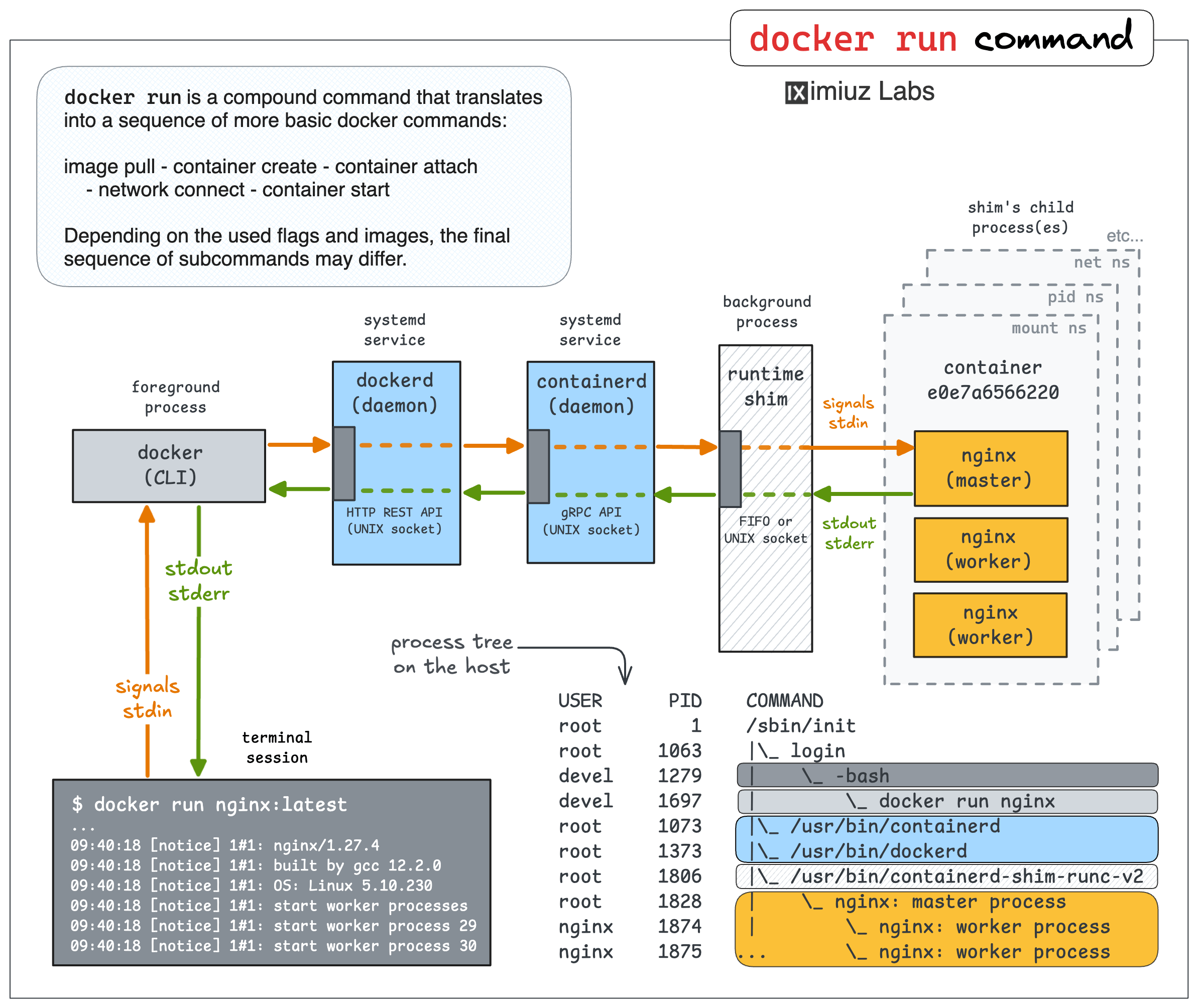 Docker run command under the hood: pulling the image, creating a container, attaching to the container, connecting the container to the network, and finally starting it.