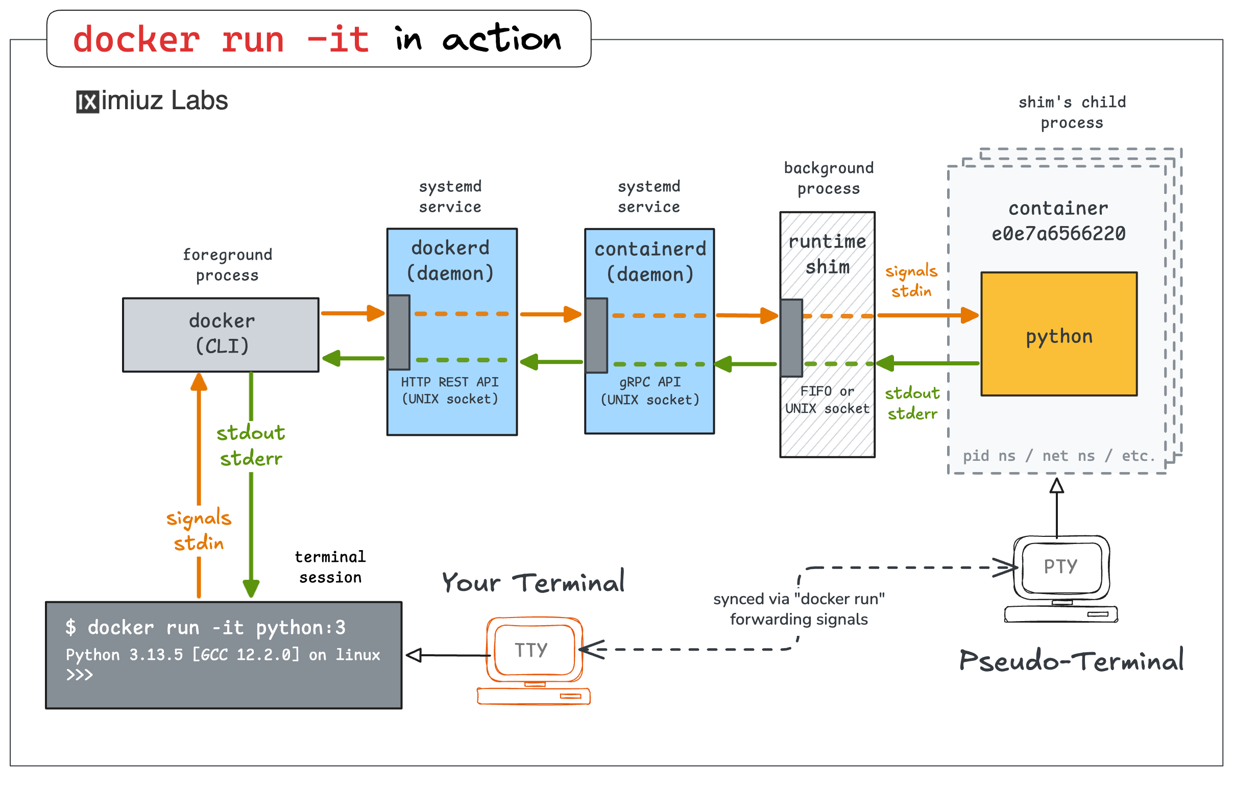 Docker run command under the hood: Allocating a pseudo-TTY (terminal) for the containerized application.