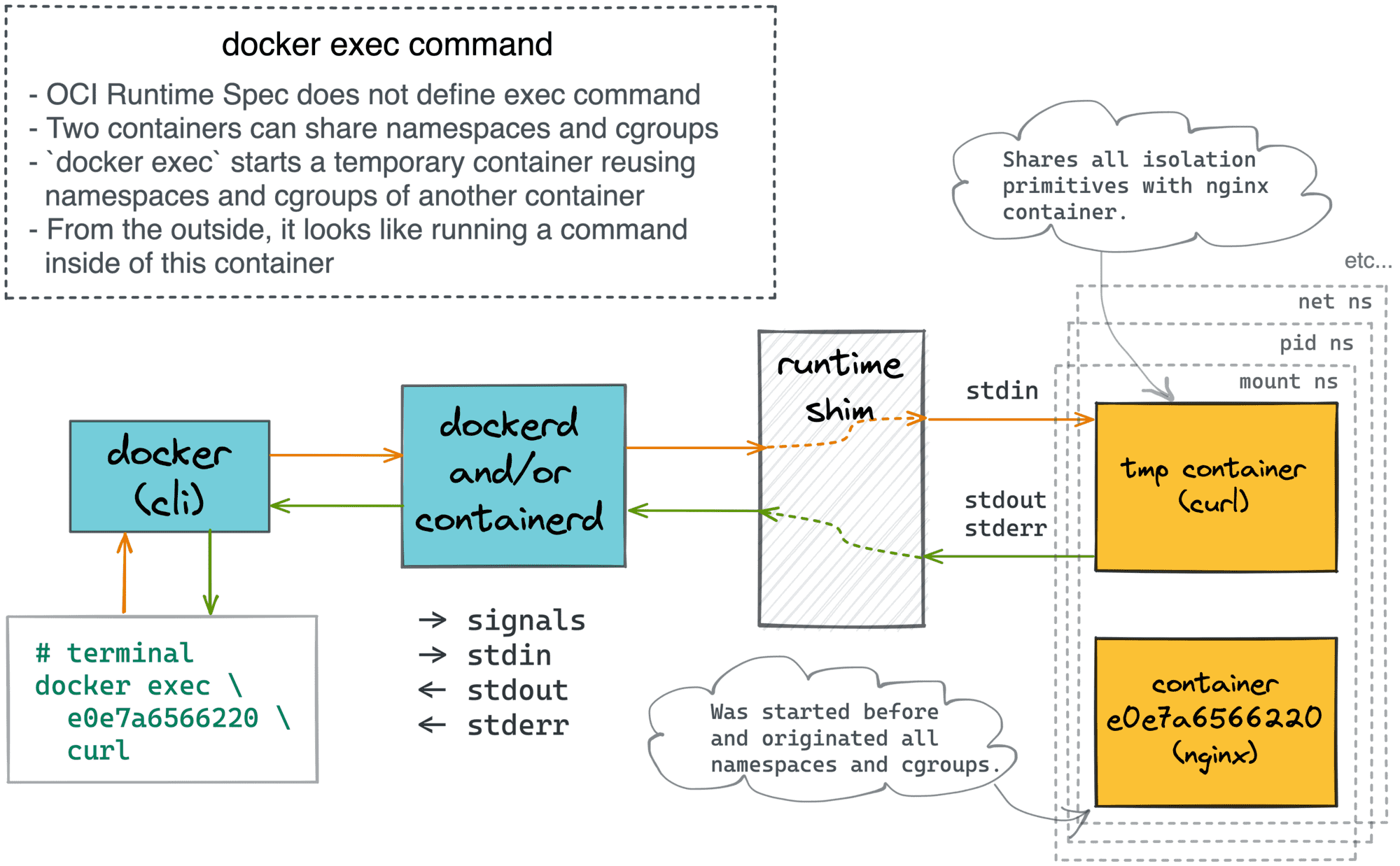 The `docker exec` command illustrated.