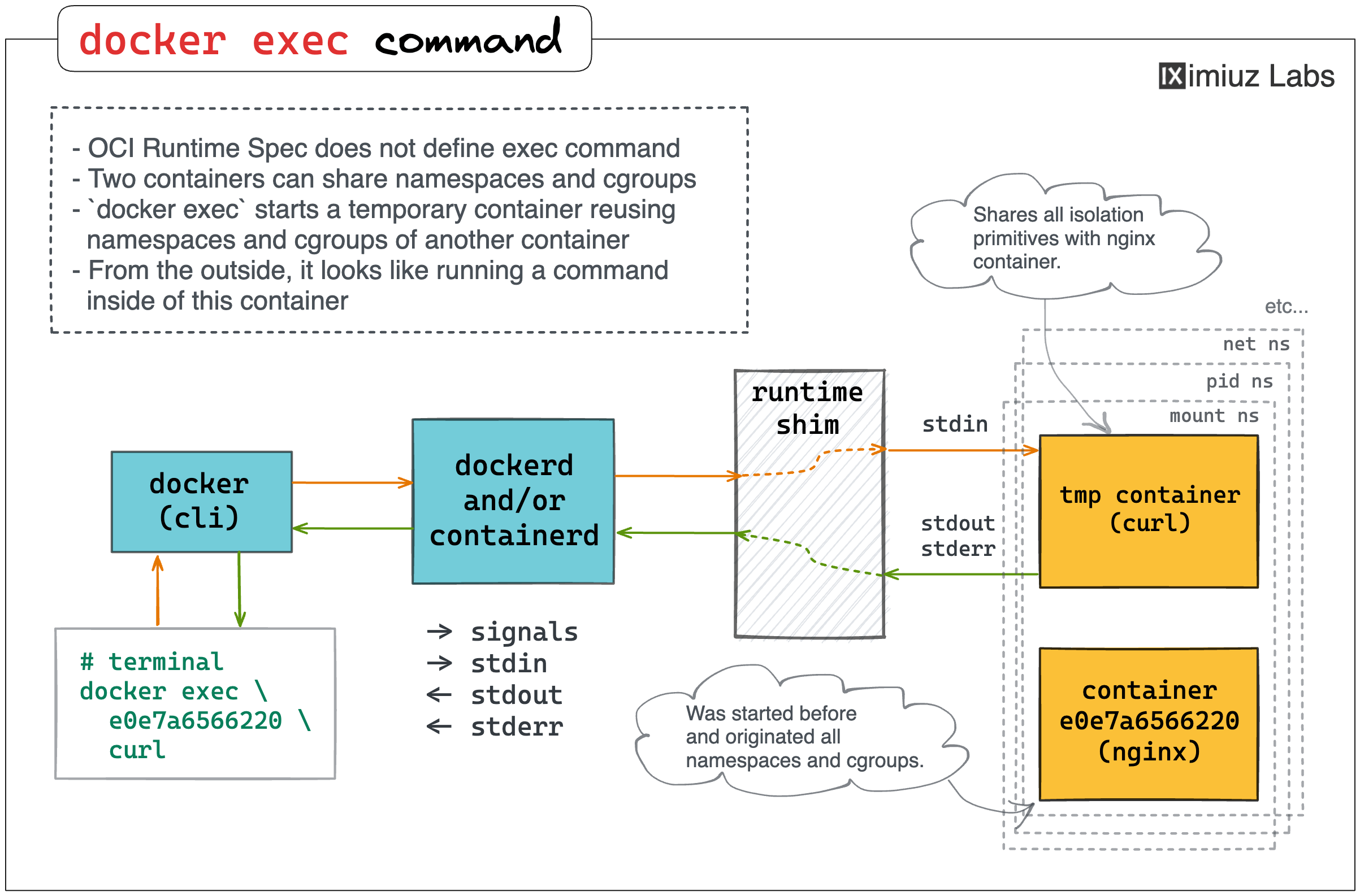 The `docker exec` command illustrated.