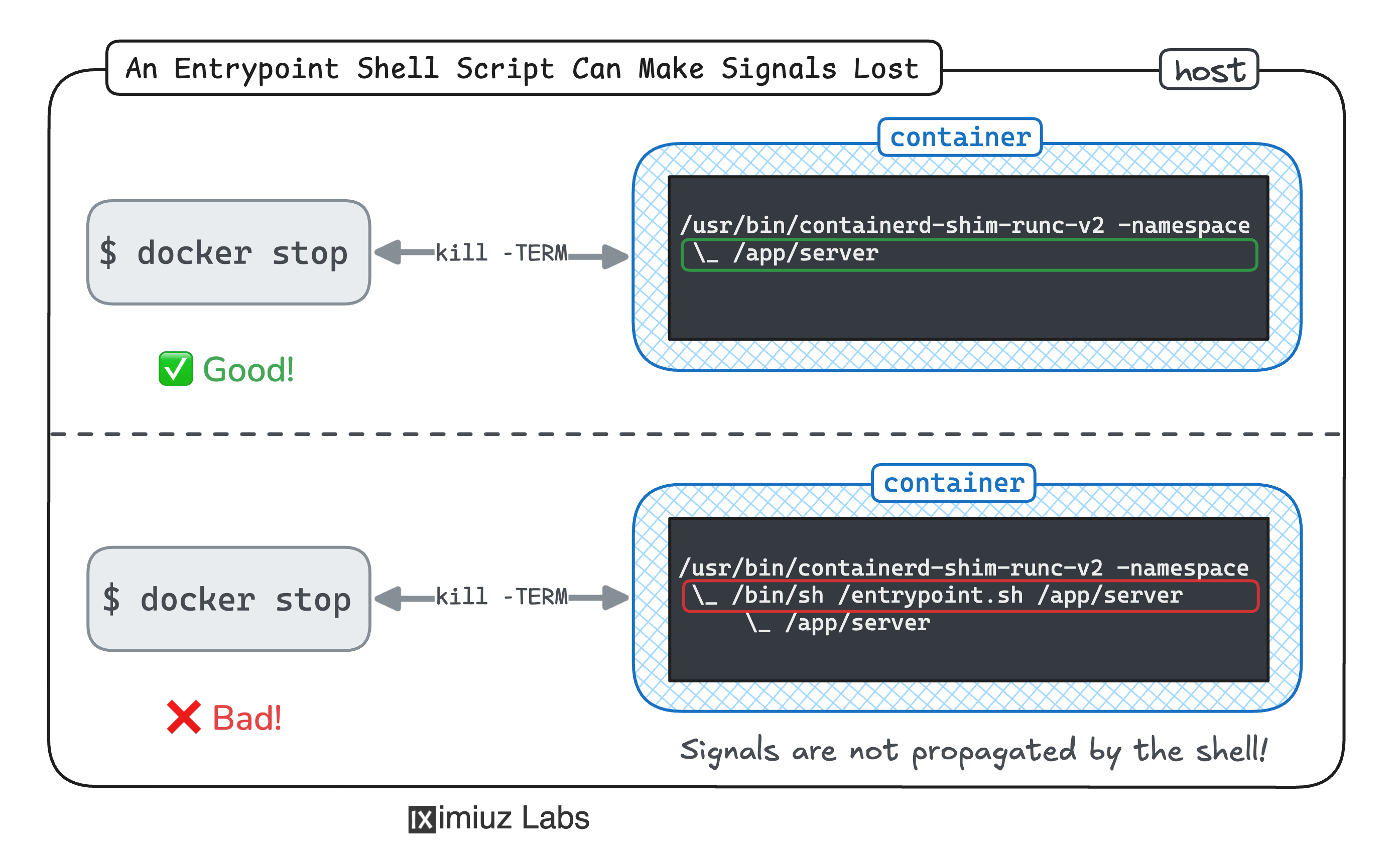 Container process tree with and without the entrypoint script.