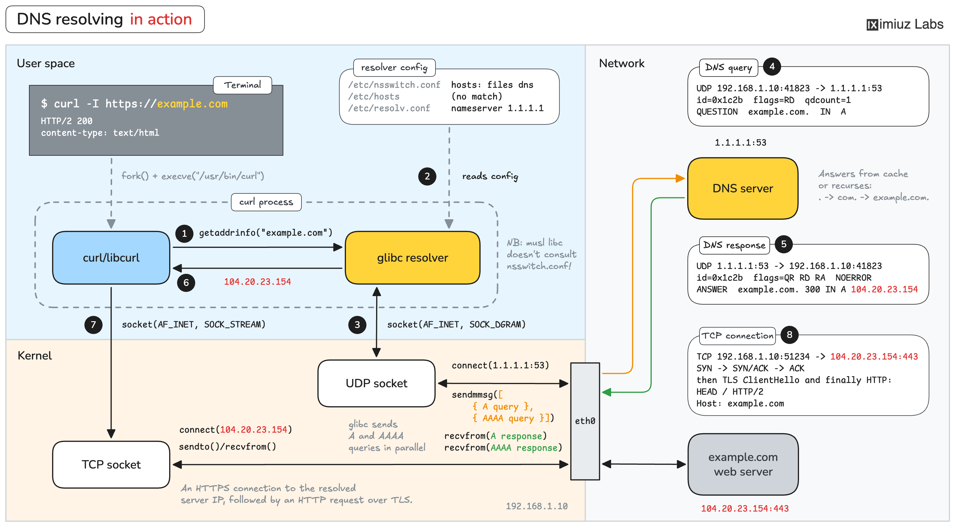 DNS resolving in action: the moving parts behind a curl https://example.com call.