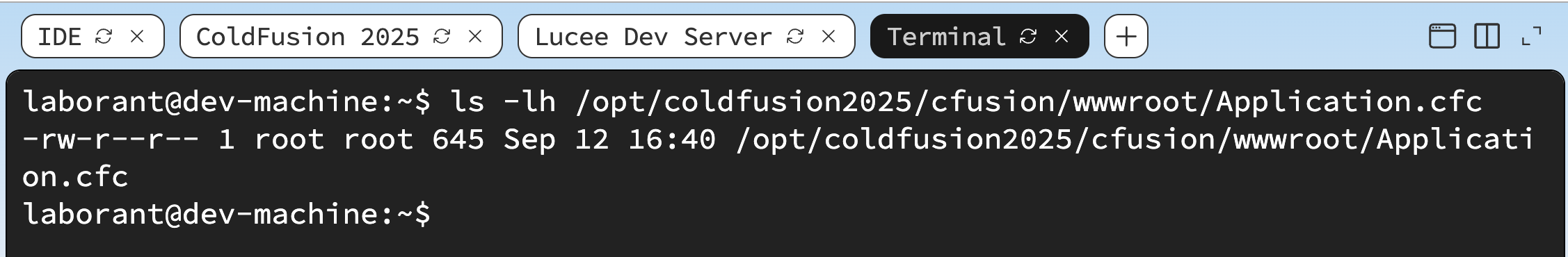 Terminal window showing the sudo tee command output confirming Application.cfc was written, followed by the ls -lh command output showing the file with its size and timestamp in the wwwroot directory