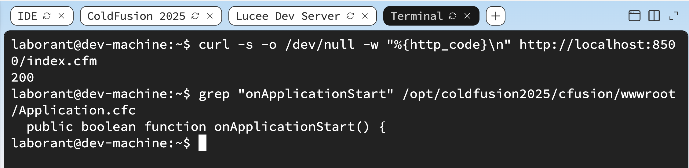 Terminal window showing the grep command output — one matching line from Application.cfc with the onApplicationStart function signature highlighted, confirming the method is present in the file