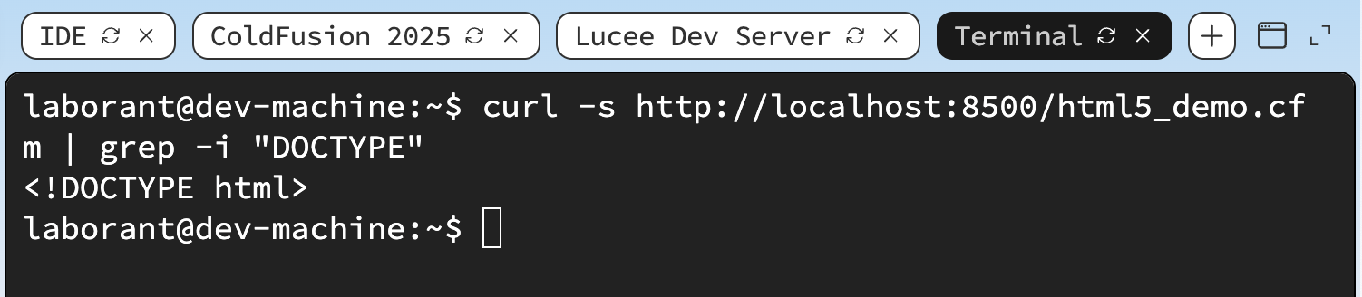 Terminal showing the curl command output with DOCTYPE html visible at the top of the response