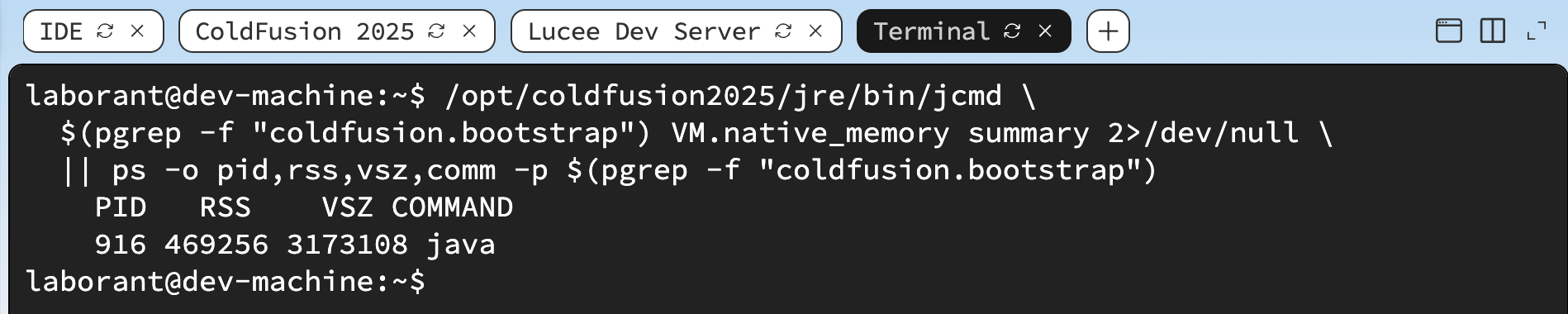 Terminal output showing ps command result with columns PID, RSS, VSZ, COMMAND — PID 916, RSS 469256, VSZ 3173108, java