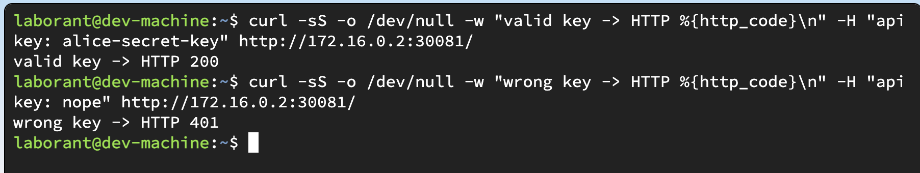 Terminal output showing two requests to the Kong gateway - the one with a valid apikey header returns HTTP 200 while the one with a wrong key returns HTTP 401
