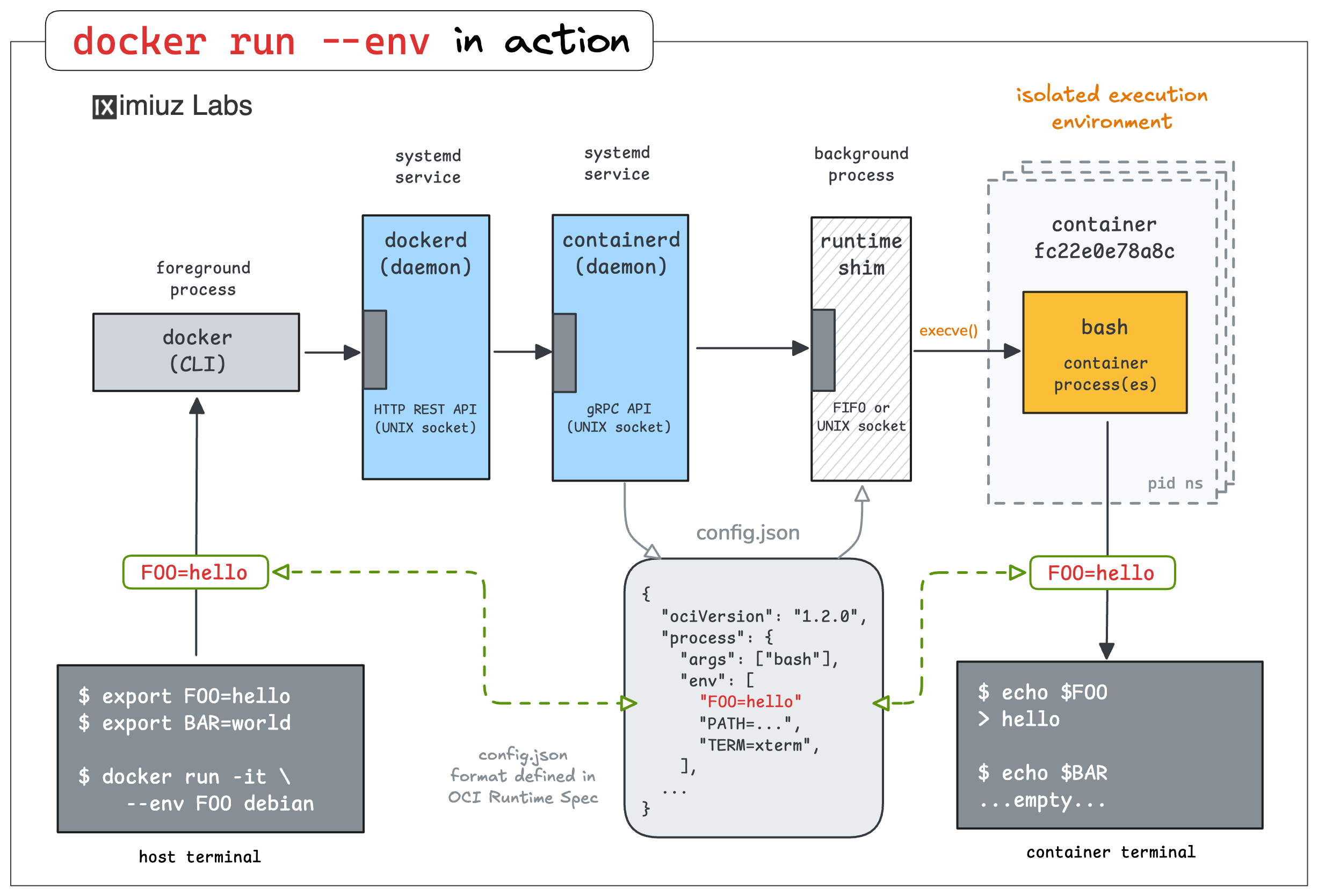 Containers are isolated execution environments: Environment variables set in the host shell session are not visible to the container.