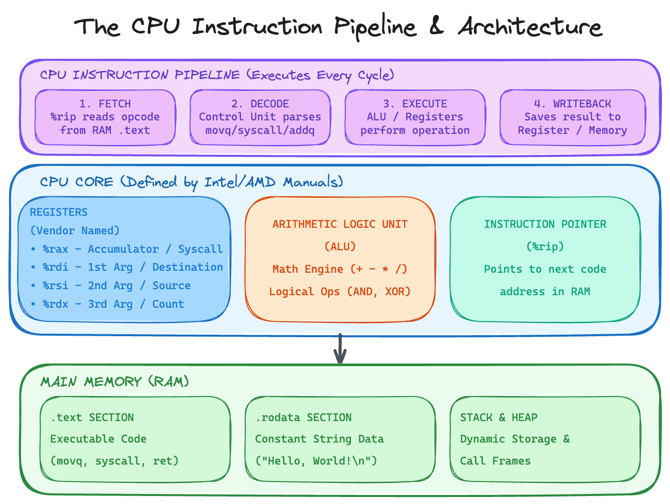 The CPU Instruction Pipeline, Core Registers, ALU, and Memory.