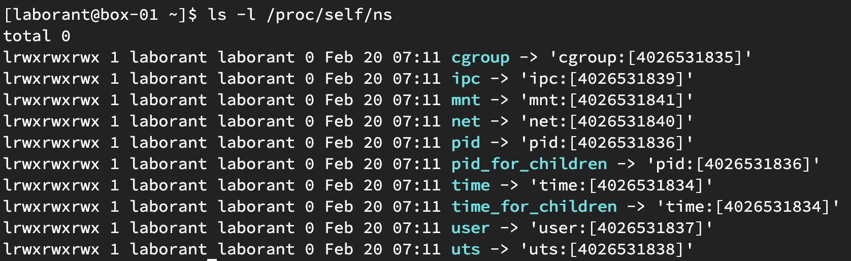 Comparing namespace IDs between host and container