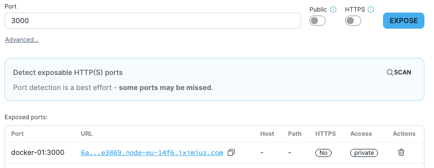 Puerto expuesto con su URL
