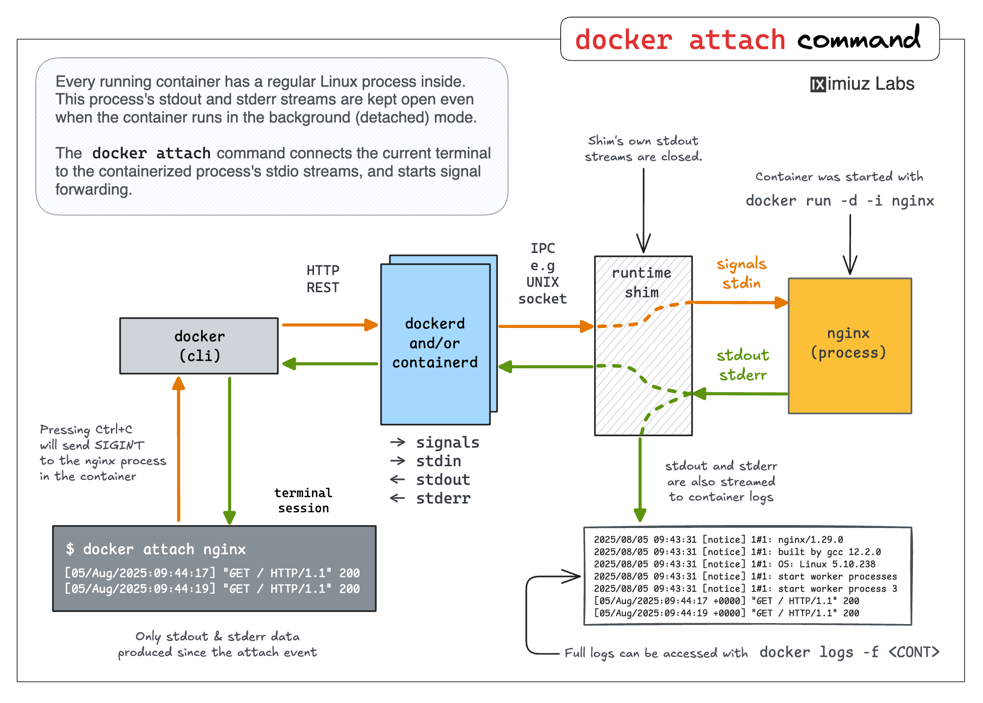 docker attach command under the hood: connecting the current terminal session to the containerized application's stdio streams.