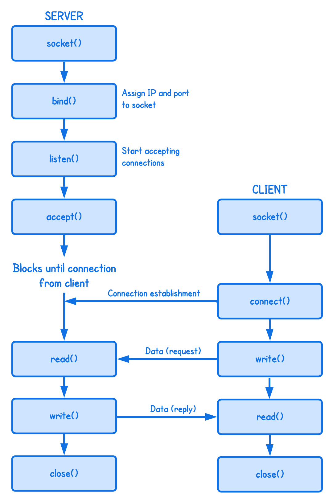Client <-> Server System Calls