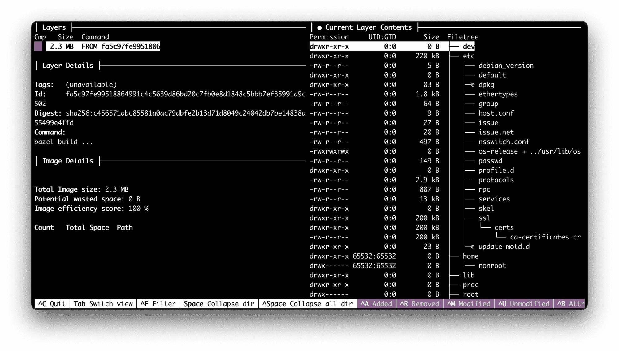 The contents of the gcr.io/distroless/static image.