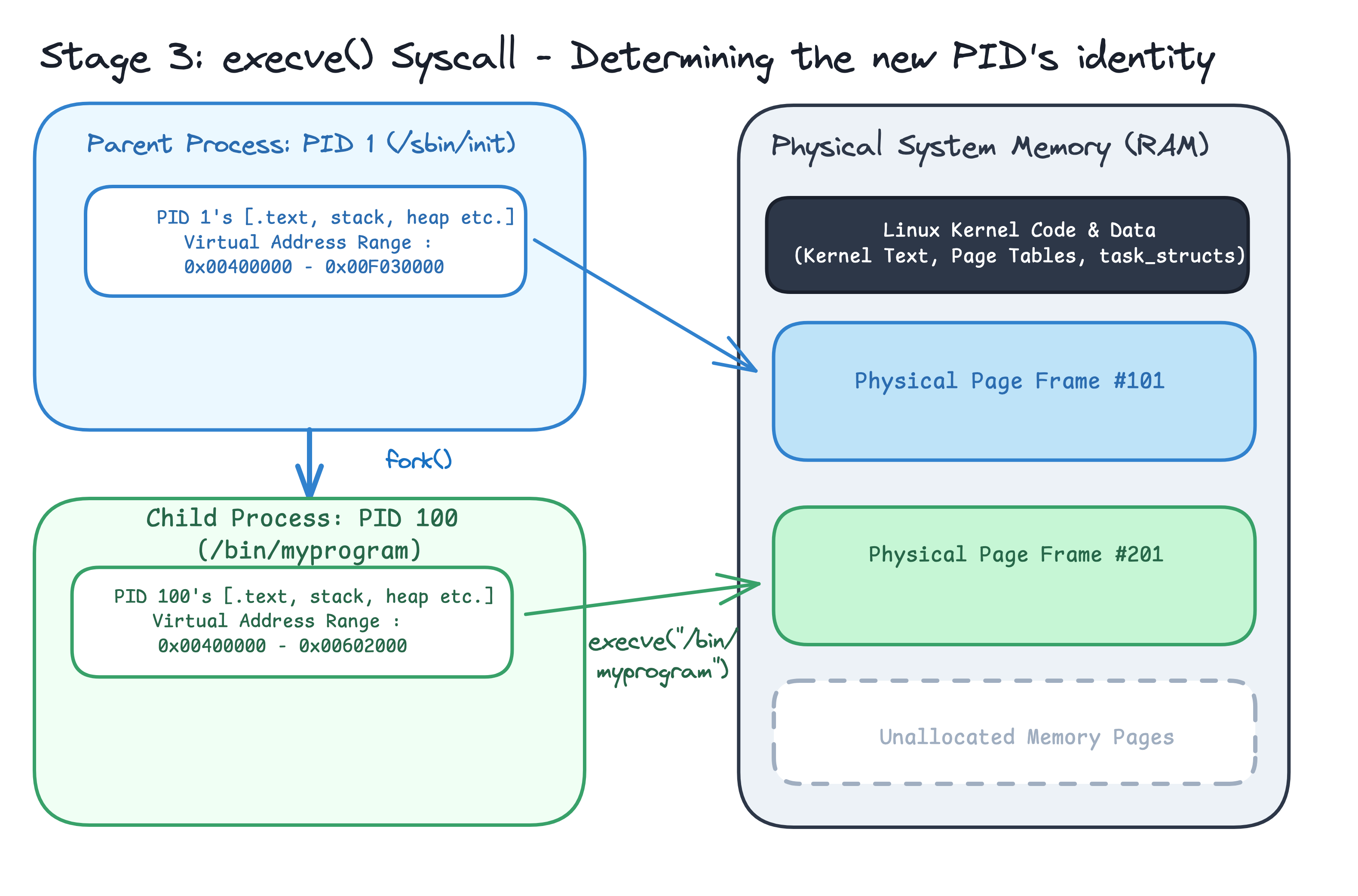 Stage 3: execve() replaces child PID 100's cloned memory image with the new /bin/myprogram executable.