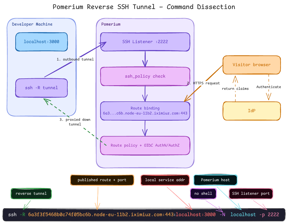 A local Go HTTP server on localhost:3000 opens a reverse SSH tunnel to Pomerium's SSH endpoint on localhost:2222, gated by the upstream tunnel SSH policy; a browser reaches the same service over HTTPS at the exposed playground URL, gated by the access policy.