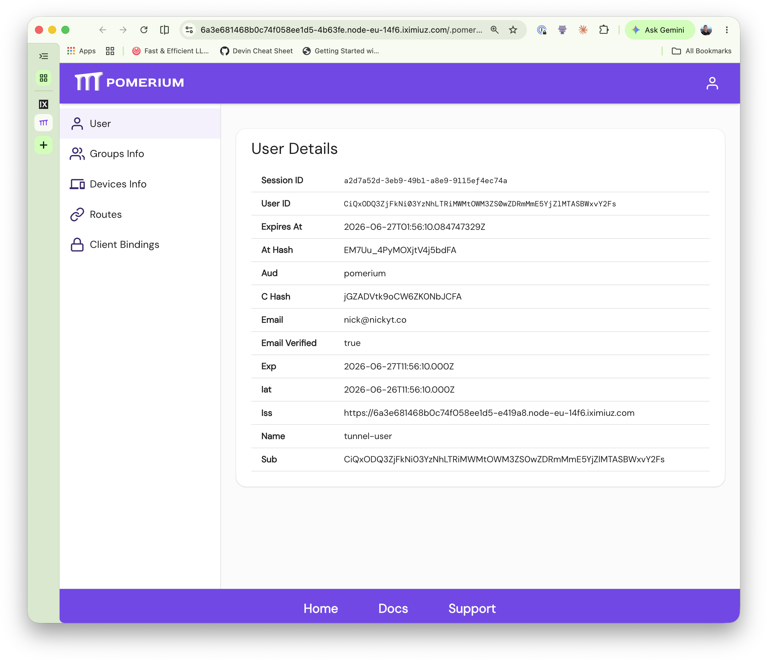 Pomerium user details page shown when the authenticate URL is opened instead of the route URL.