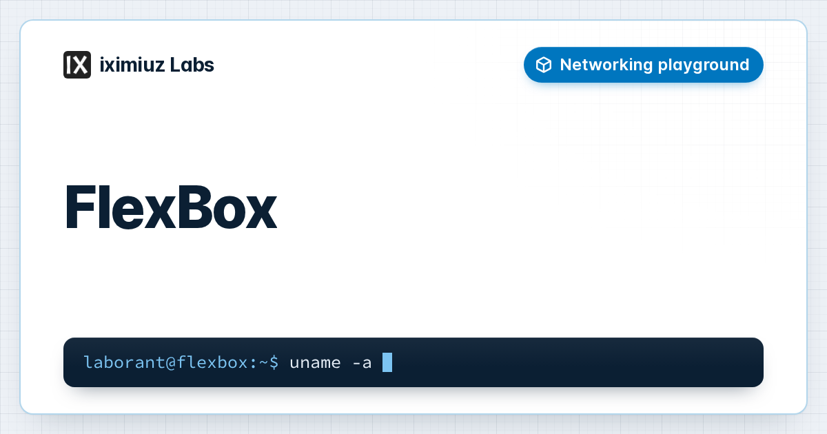 FlexBox playground: Your perfect base playground. Create purpose-built sandbox environments by choosing up to five VMs with custom root filesystems and organizing them into any number of local networks.